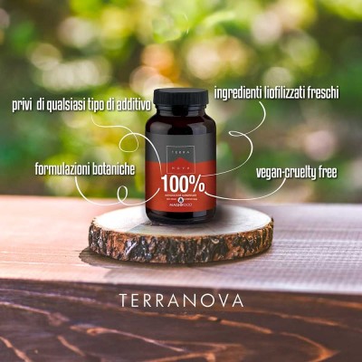 TERRANOVA DIGEST GLUTEN-LACTO SUPPORT