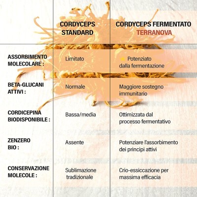 TERRANOVA CORDYCEPS FERMENTATO