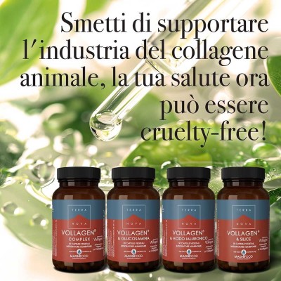 TERRANOVA Vollagen® & Glucosamina Complex 50 CPS