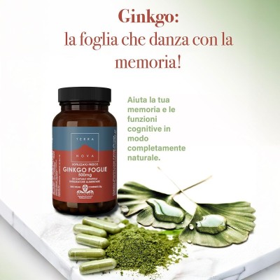 TERRANOVA Foglie di Ginkgo 50 CPS
