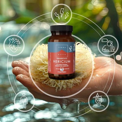 TERRANOVA HERICIUM FERMENTATO LION'S MANE 50 CPS
