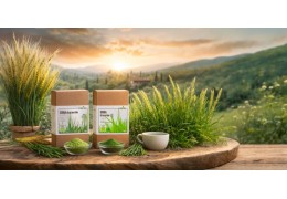 Il verde che rigenera